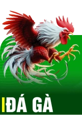 Đá Gà 69vn.xin