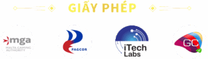 Giấy Phép 69VN