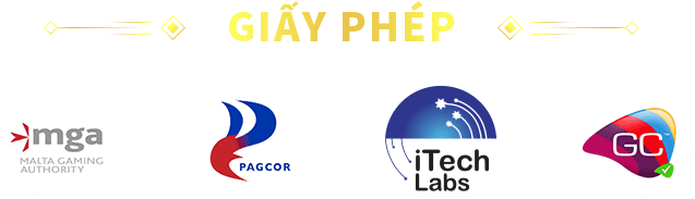 Giấy Phép 69VN